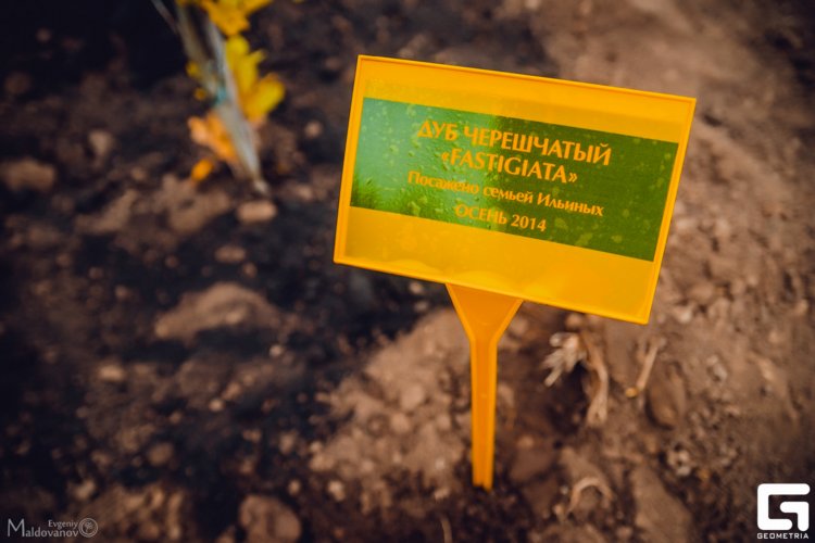 Экологическая акция «Посади дерево» в «Лесково»